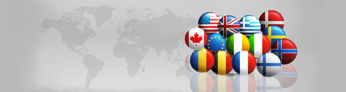 Website Translation Services